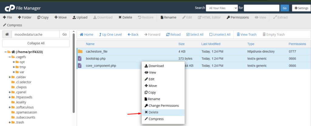 Clear Cache Moodle