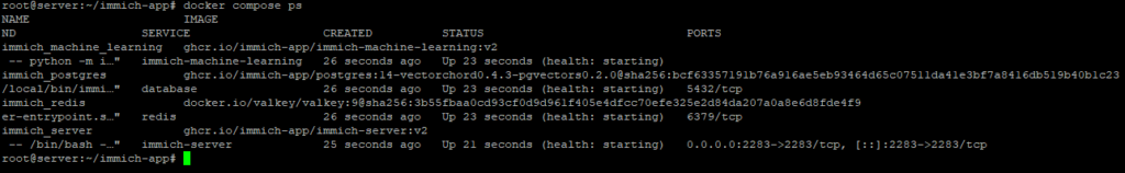 Cek status container