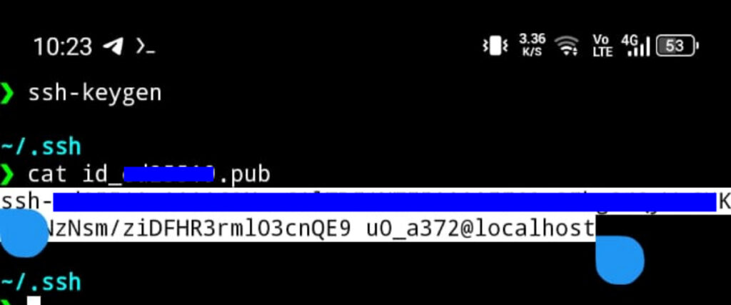 Copy Public Key