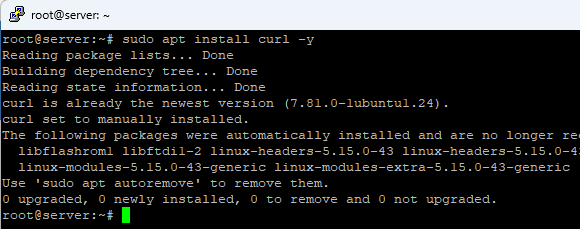 Installasi curl