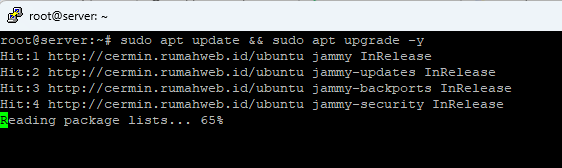 Update dan upgrade paket sistem