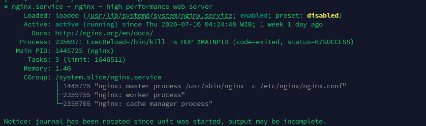 SSH cek service nginx