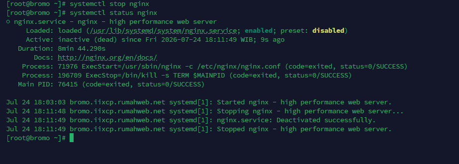 SSH stop service nginx
