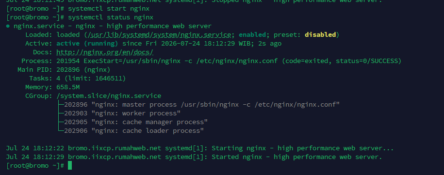 SSH start service nginx
