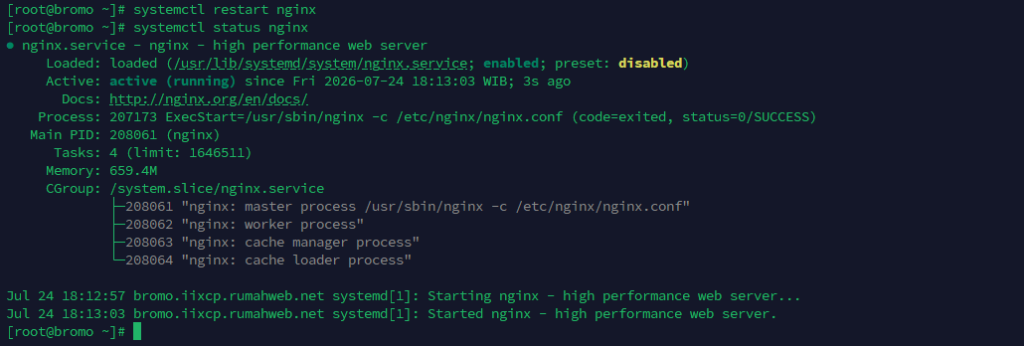 SSH restart service nginx