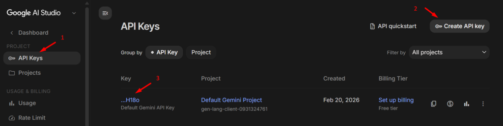Generate API Key di Gemini - Menghubungkan AI ke WordPress