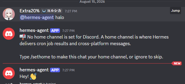 berkomunikasi dengan hermes agent di discord
