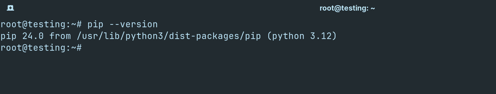 Cek versi pip di VPS Ubuntu