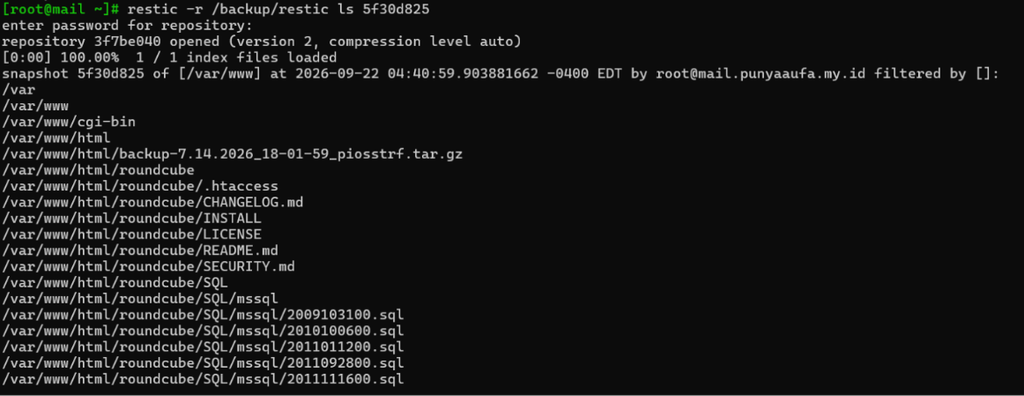 Lihat Isi Backup