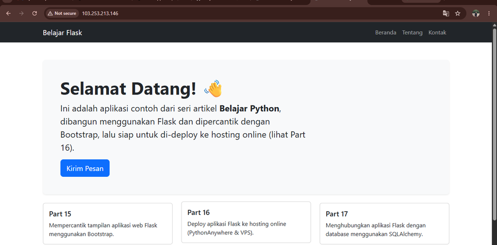 Tampilan website pada VPS tanpa port